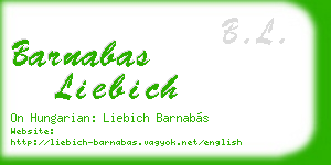 barnabas liebich business card